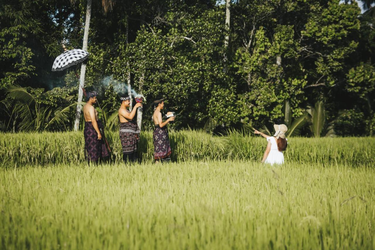 Sunshine Villas Ubud Екстер'єр фото